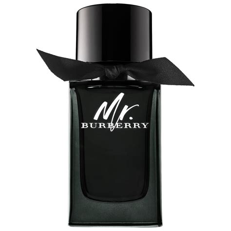 mr burberry perfume price in lebanon|Buy Burberry Mr. Burberry Eau de Parfum 150ml · Lebanon.